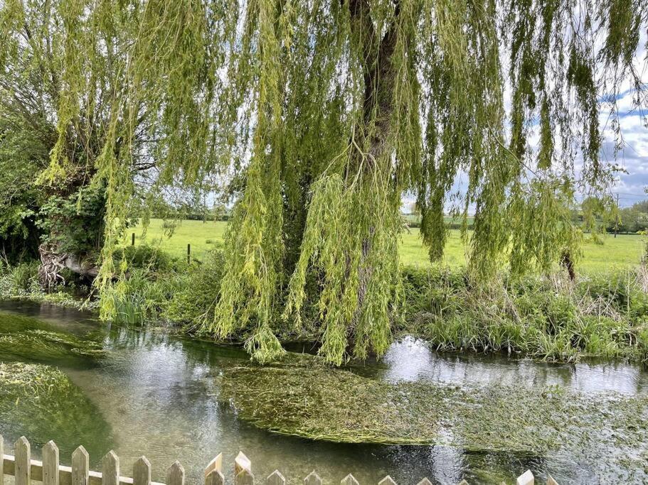 Willow Tree Lodge - Cosy Lodge In The Heart Of The Kent Countryside Littlebourne Exterior foto